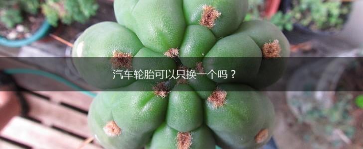汽车轮胎可以只换一个吗？,第1张