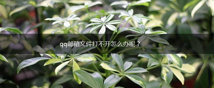 qq邮箱文件打不开怎么办呢？,第1张