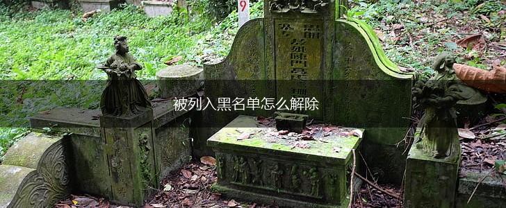 被列入黑名单怎么解除,第1张