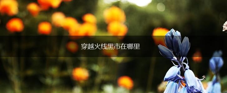 穿越火线黑市在哪里,第1张