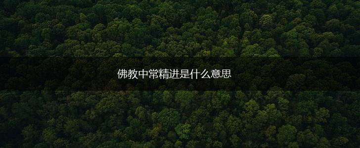 佛教中常精进是什么意思,第1张