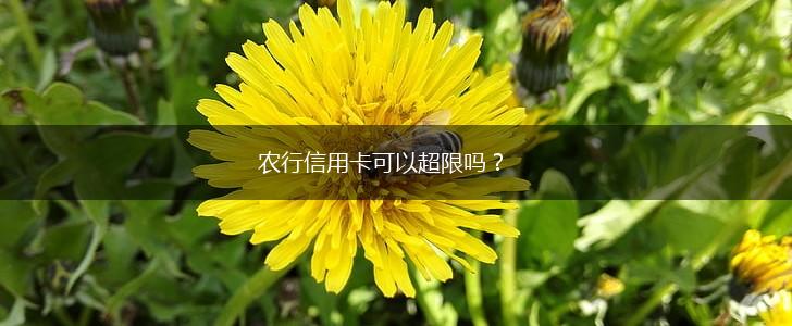 农行信用卡可以超限吗？,第1张
