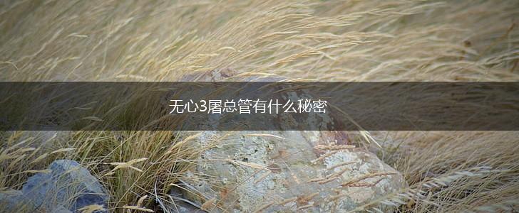无心3屠总管有什么秘密,第1张