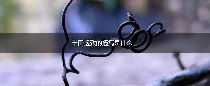 丰田逸致的通病是什么,第1张