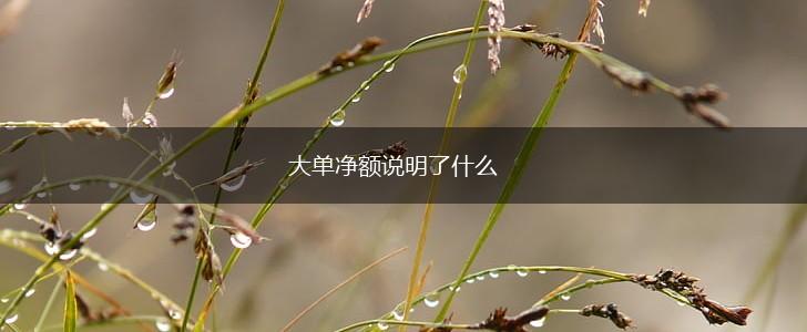大单净额说明了什么,第1张