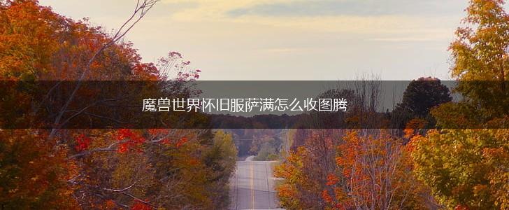 魔兽世界怀旧服萨满怎么收图腾,第1张 魔兽世界怀旧服萨满怎么收图腾,第1张