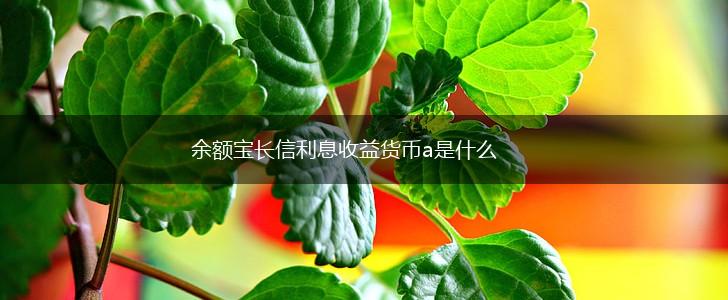 余额宝长信利息收益货币a是什么,第1张