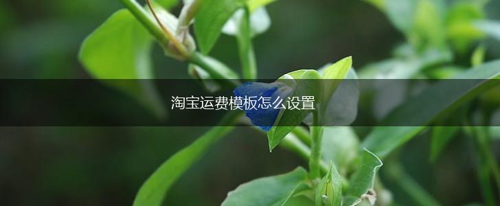 淘宝运费模板怎么设置,第1张