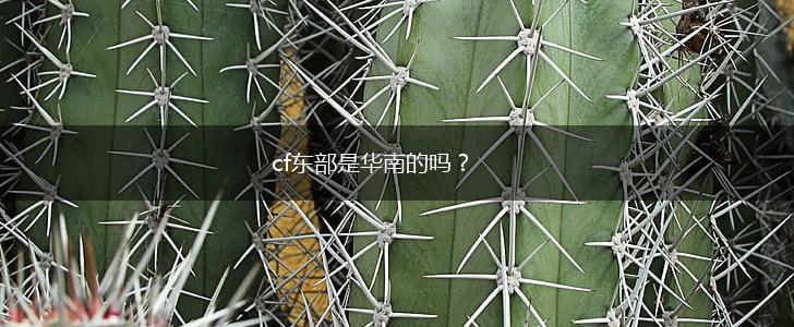cf东部是华南的吗？,第1张