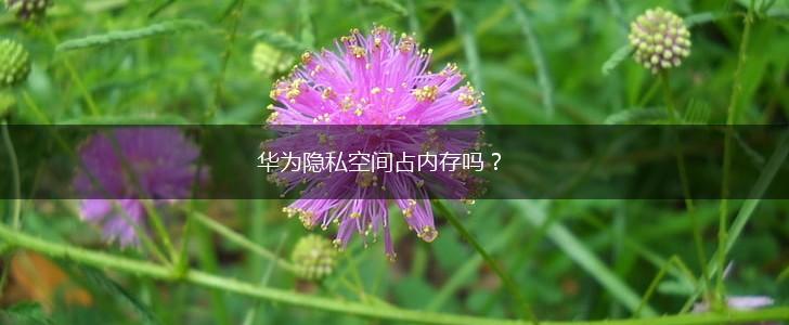 华为隐私空间占内存吗？,第1张