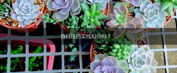 直行压白实线扣分吗？,第1张
