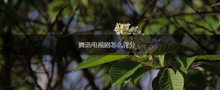 腾讯电视剧怎么评分,第1张