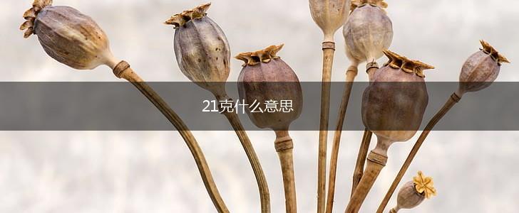 21克什么意思,第1张