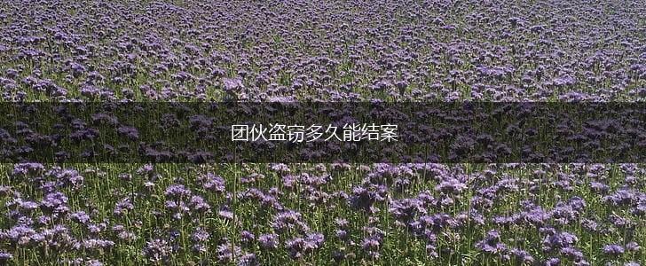 团伙盗窃多久能结案,第1张