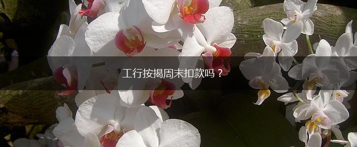 工行按揭周末扣款吗？,第1张