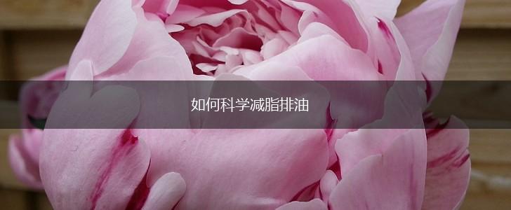 如何科学减脂排油,第1张