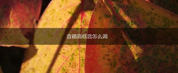 音箱高低音怎么调,第1张