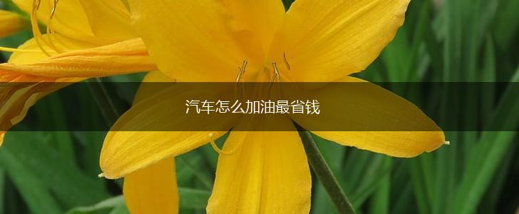 汽车怎么加油最省钱,第1张