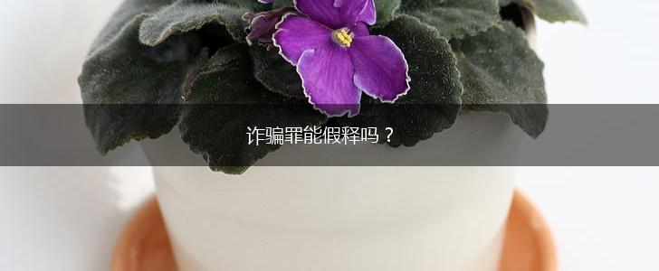 诈骗罪能假释吗？,第1张