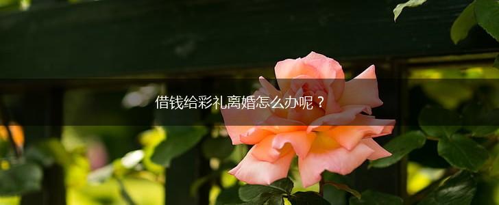 借钱给彩礼离婚怎么办呢？,第1张