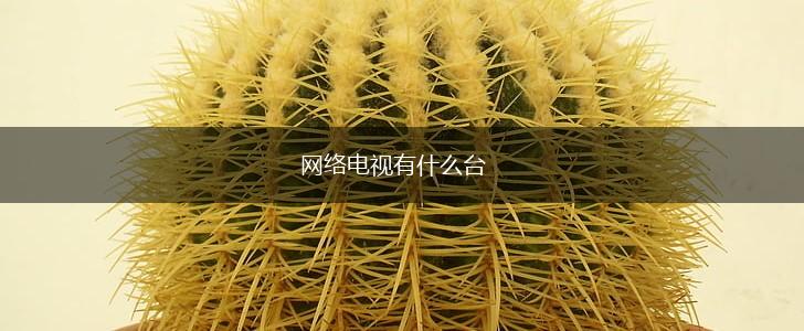 网络电视有什么台,第1张