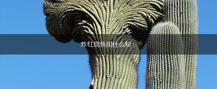 炸红烧鱼用什么粉,第1张