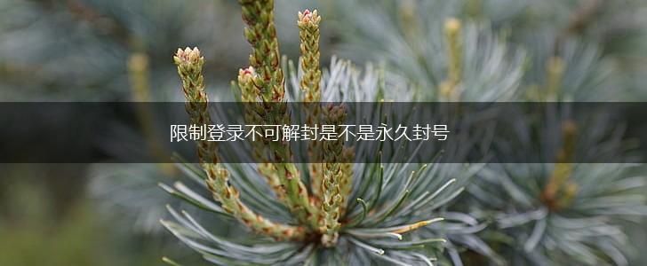 限制登录不可解封是不是永久封号,第1张