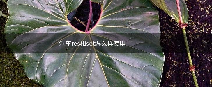 汽车res和set怎么样使用,第1张