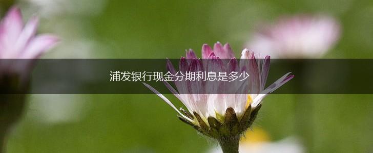 浦发银行现金分期利息是多少,第1张