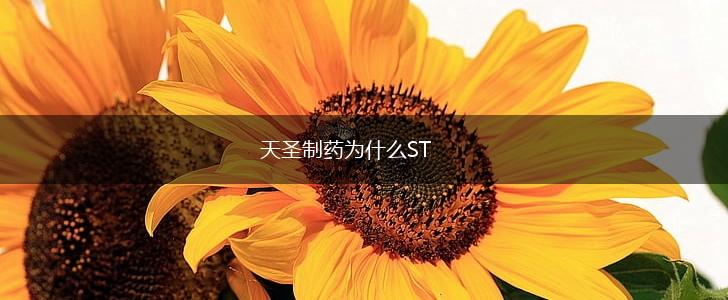 天圣制药为什么ST,第1张