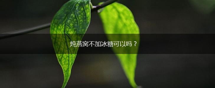 炖燕窝不加冰糖可以吗？,第1张