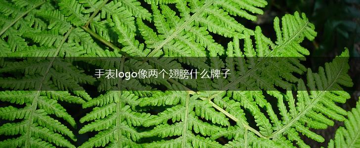 手表logo像两个翅膀什么牌子,第1张