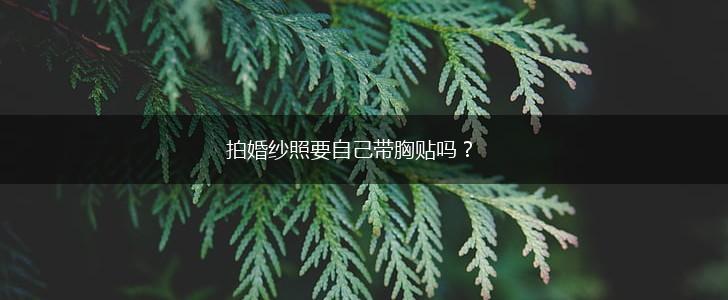拍婚纱照要自己带胸贴吗？,第1张