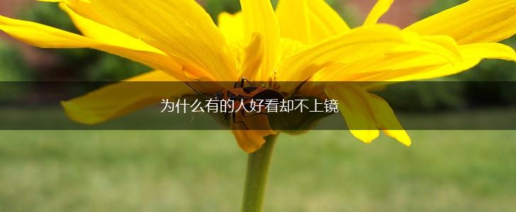 为什么有的人好看却不上镜,第1张