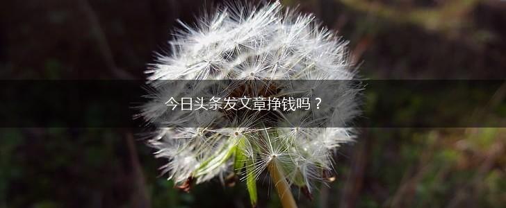 今日头条发文章挣钱吗？,第1张