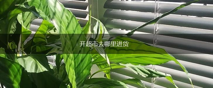 开超市去哪里进货,第1张