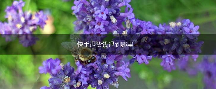 快手退货钱退到哪里,第1张