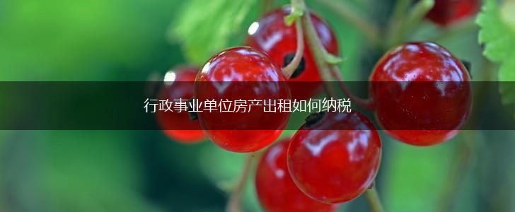 行政事业单位房产出租如何纳税,第1张