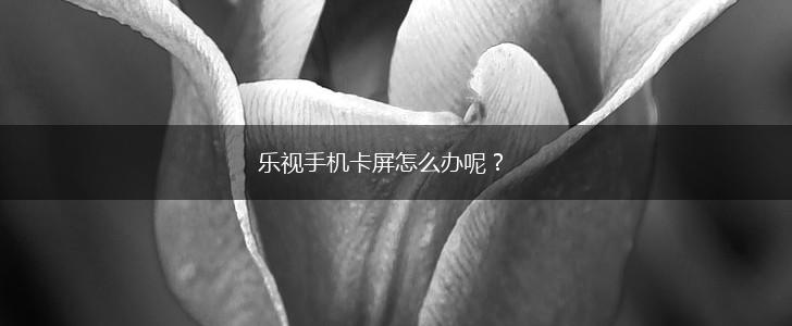 乐视手机卡屏怎么办呢？,第1张