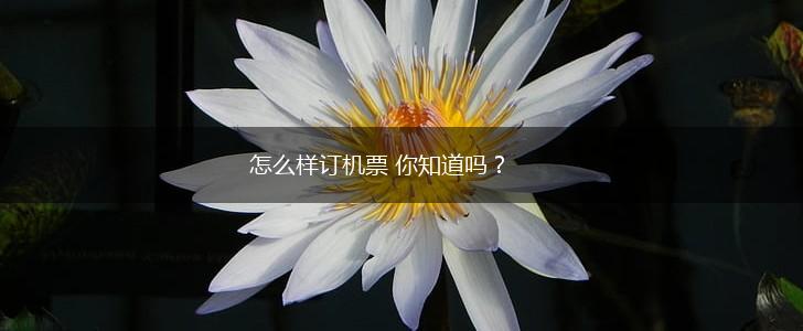 怎么样订机票 你知道吗？,第1张
