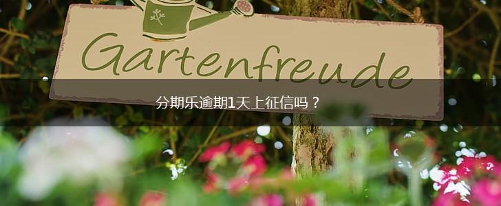 分期乐逾期1天上征信吗？,第1张