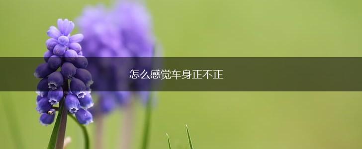 怎么感觉车身正不正,第1张