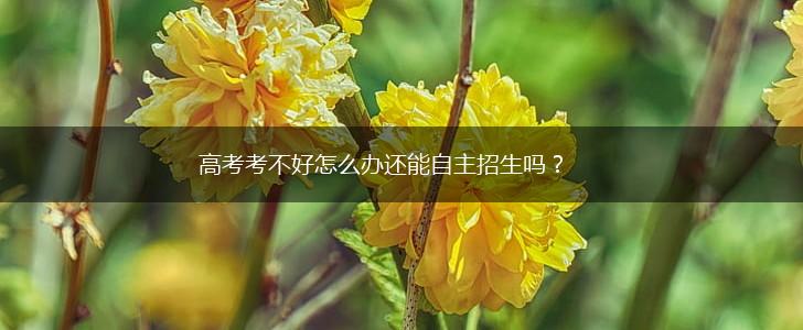 高考考不好怎么办还能自主招生吗？,第1张