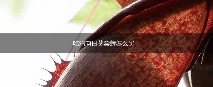 吃鸡向日葵套装怎么买,第1张