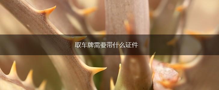 取车牌需要带什么证件,第1张