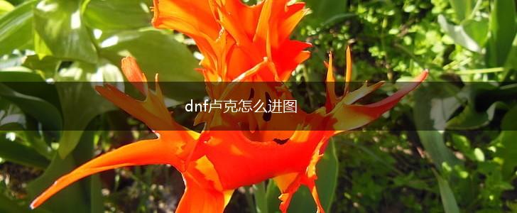 dnf卢克怎么进图,第1张