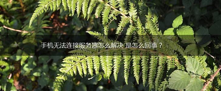 手机无法连接服务器怎么解决 是怎么回事？,第1张