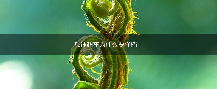 加速超车为什么要降档,第1张