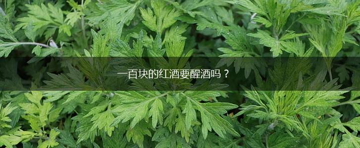 一百块的红酒要醒酒吗?,第1张 一百块的红酒要醒酒吗?,第1张