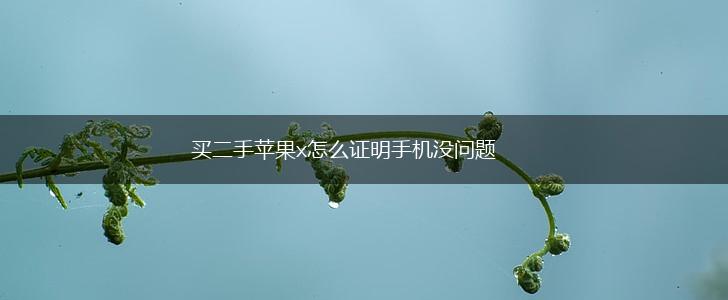 买二手苹果x怎么证明手机没问题,第1张